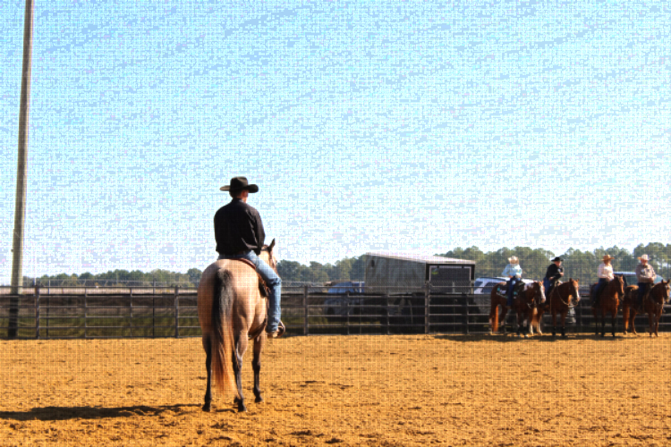 people and horses at the Sunbelt Ag Expo